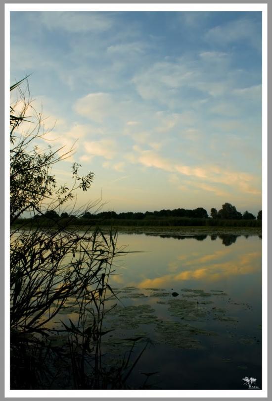 Нижча Дубечня з panoramio.com - Низшая Дубечня