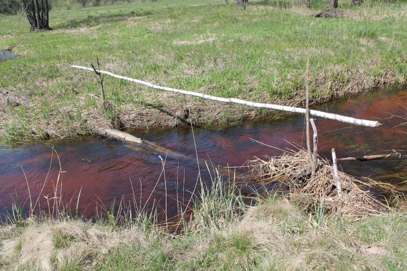Мелені з panoramio.com - Meleni