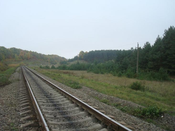 Малиничі з panoramio.com - Малиничи
