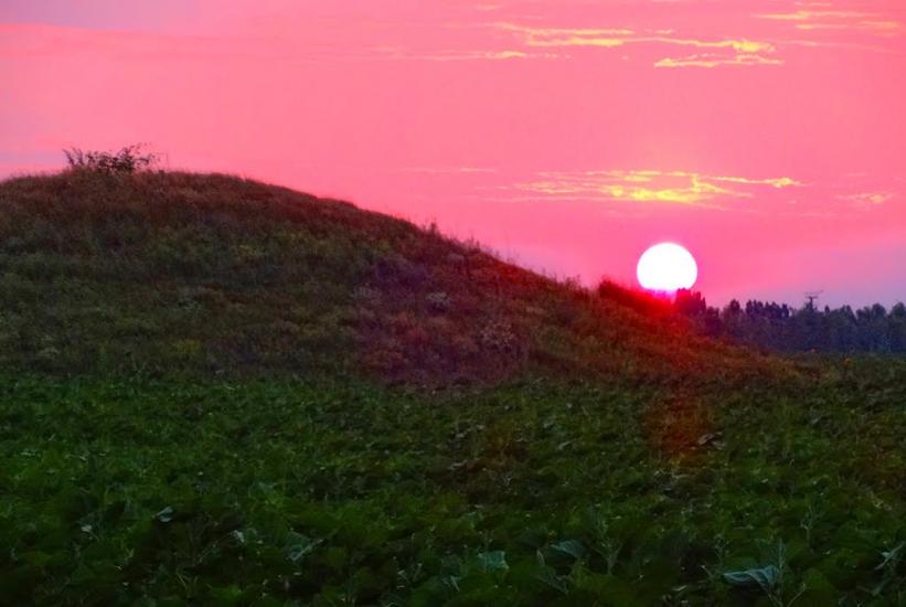 Новозванівка з panoramio.com - Novozvanivka