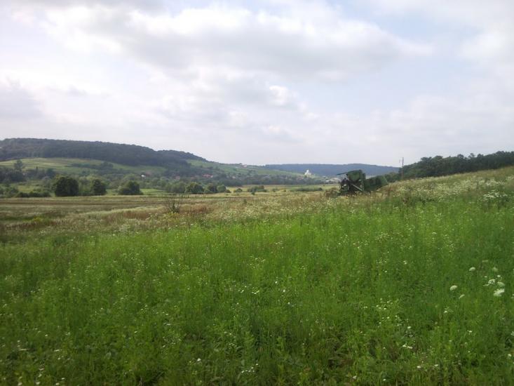 Великі Глібовичі з panoramio.com - Velyki Glibovychi