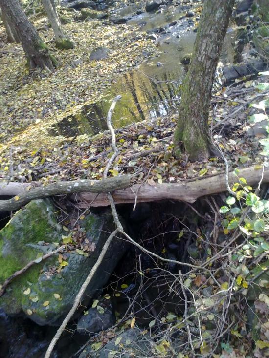 Ворочово з panoramio.com - Ворочево