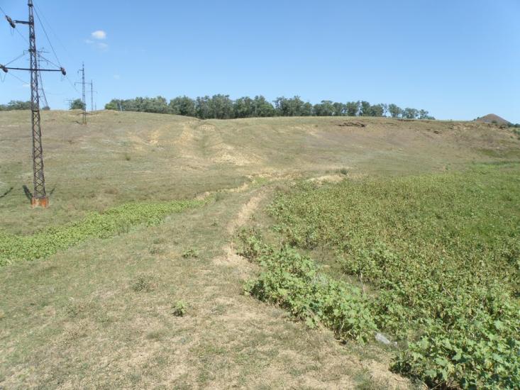 Княгинівка з panoramio.com - Княгиневка