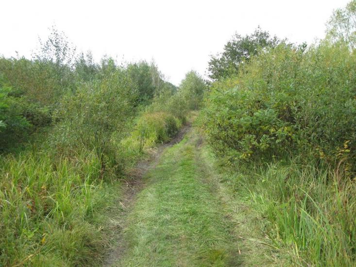 Циблі з panoramio.com - Tsybli