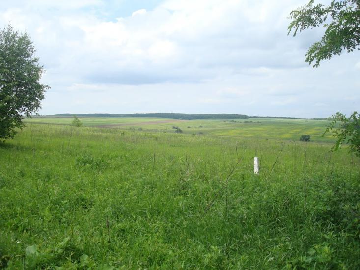Стуфчинці з panoramio.com - Стуфчинцы