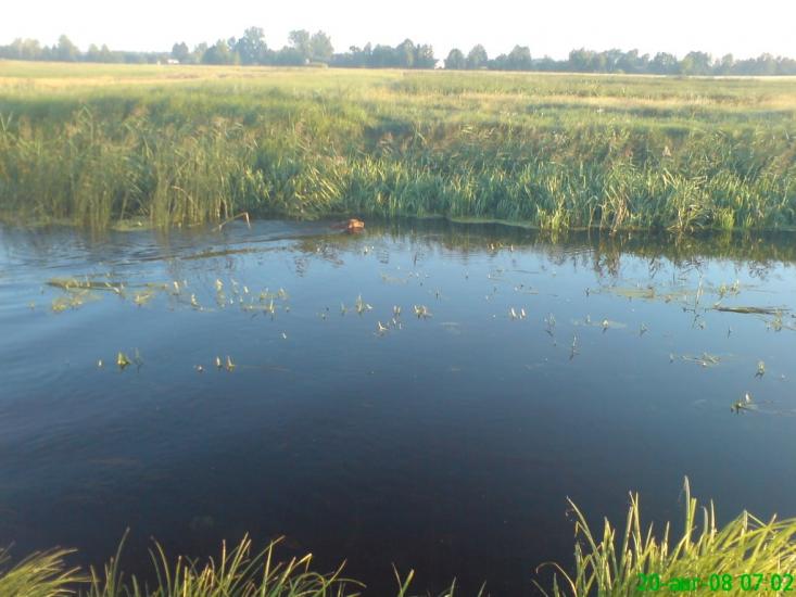 Шацьк з panoramio.com - Шацк