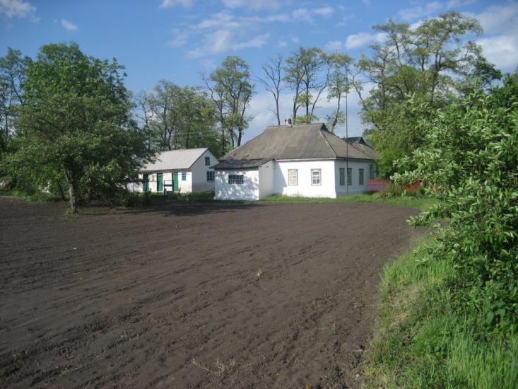 Бирлівка з panoramio.com - Бирлівка