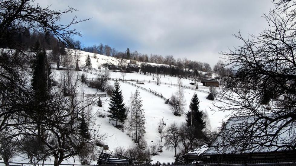 Бистриця з panoramio.com - Bystrytsya