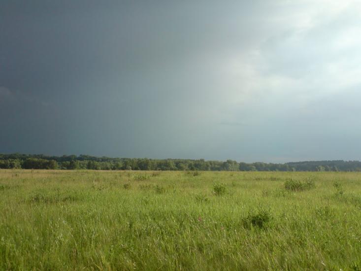 Білики з panoramio.com - Білики