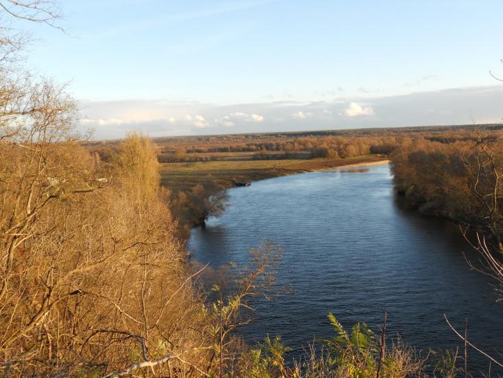 Дробишів з panoramio.com - Дробышев