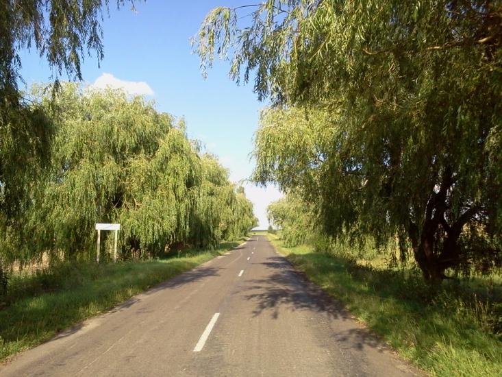 Всеволодівка з panoramio.com - Всеволодівка