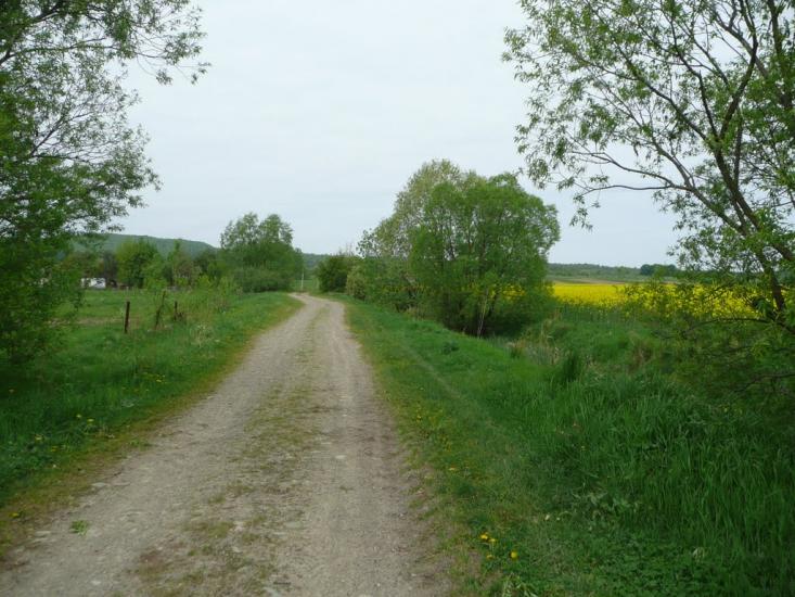 Любинці з panoramio.com - Любинці