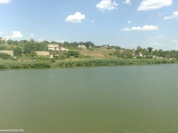 Кам'янське з panoramio.com - Каменское