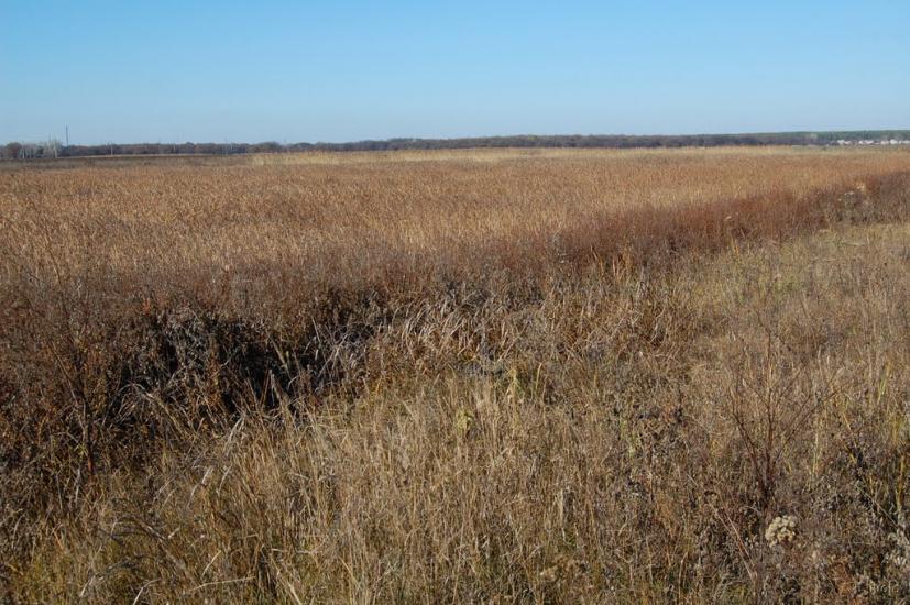 Борівське з panoramio.com - Боровское