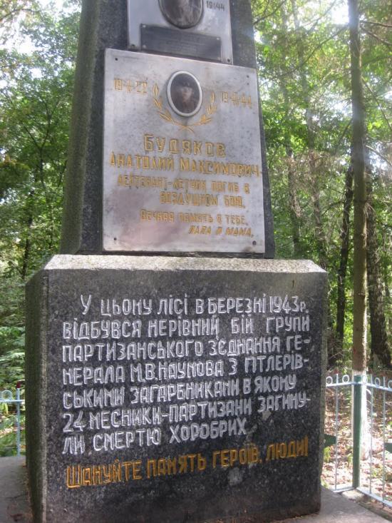 Черепашинці з panoramio.com - Cherepashyntsi