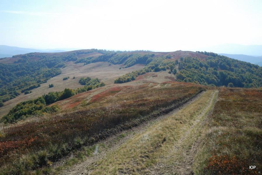 Потік з panoramio.com - Поток