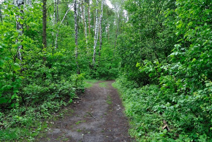Капітанівка з panoramio.com - Капитановка