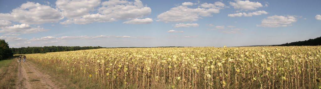 Пушкарівка з panoramio.com - Пушкарівка