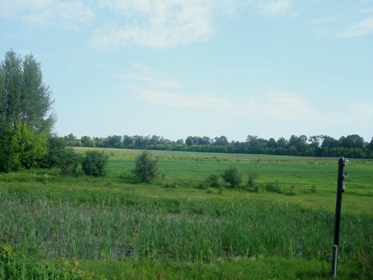 Мокіївці з panoramio.com - Мокіївці
