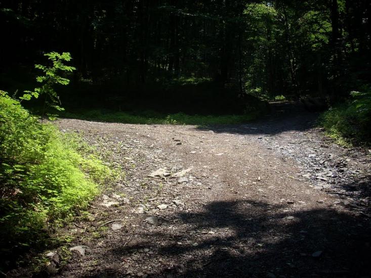 Кам'яниця з panoramio.com - Кам'яниця
