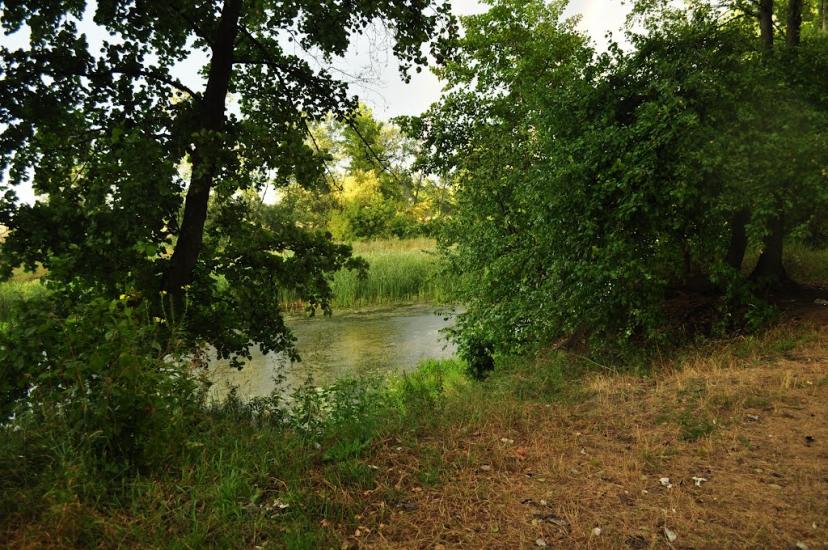 Журавне з panoramio.com - Журавне