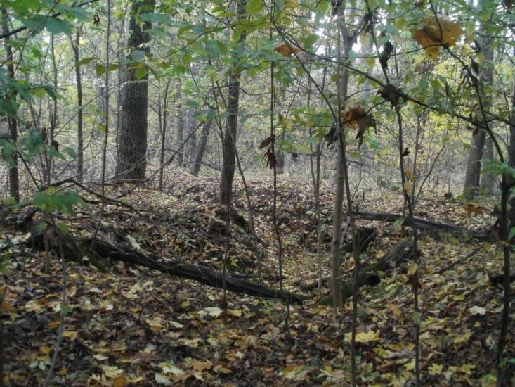 Гунча з panoramio.com - Гунча