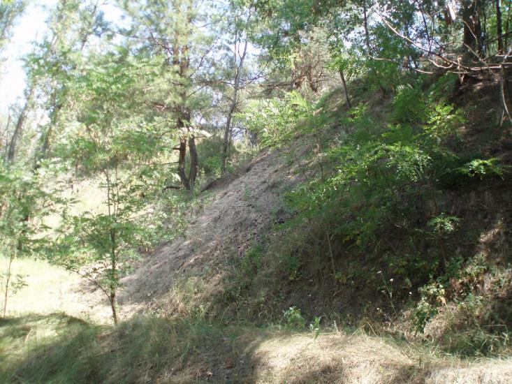 Пересічна з panoramio.com - Пересечная