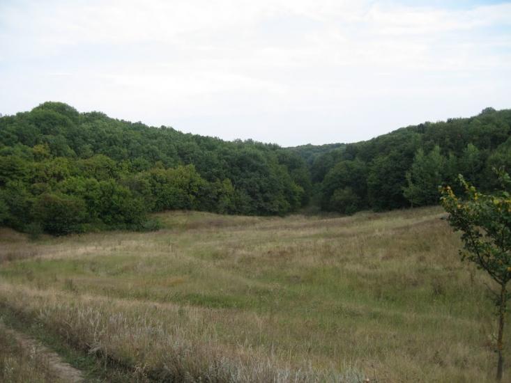 Плавні з panoramio.com - Плавни