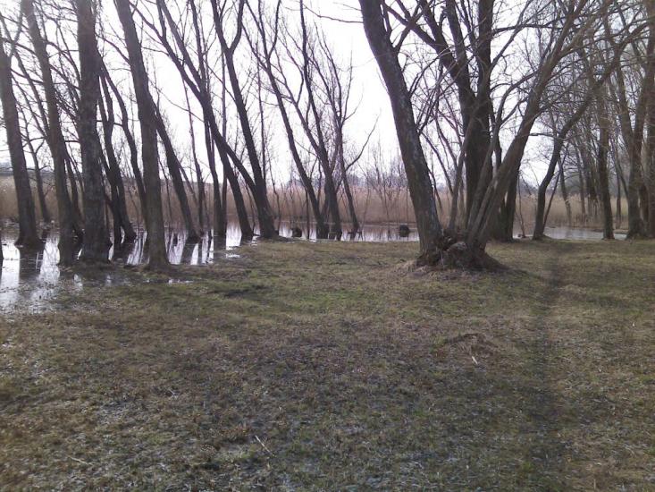 Степанівка з panoramio.com - Степановка