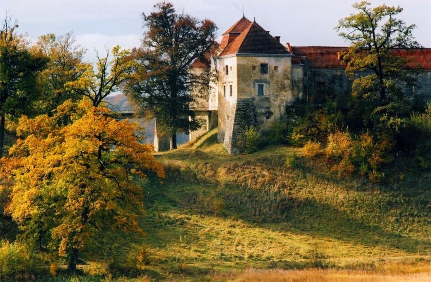 Свірж з panoramio.com - Свирж