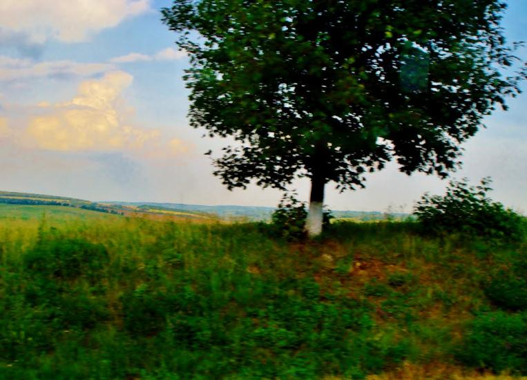 Хижинці з panoramio.com - Хижинці