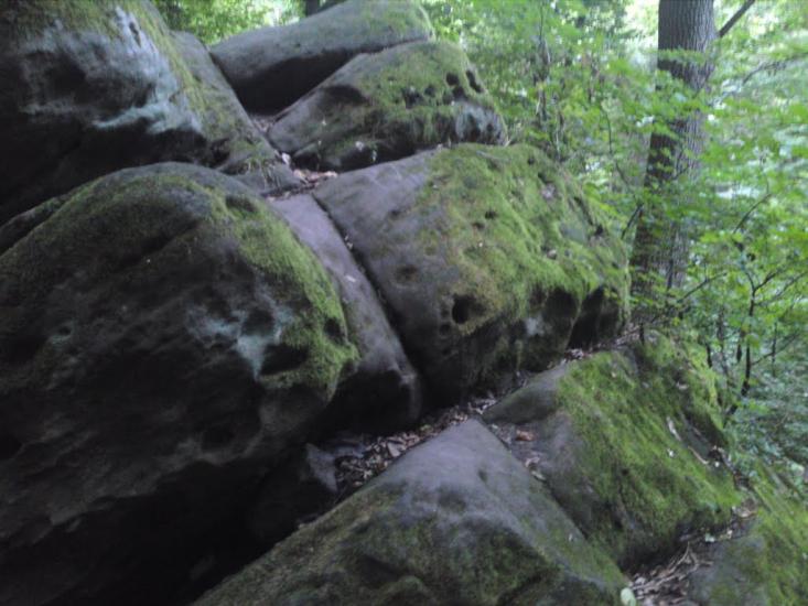 Слобода-Бушанська з panoramio.com - Слобода-Бушанська