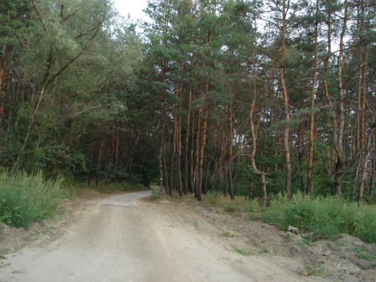 Піщанка з panoramio.com - Песчанка