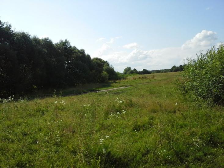 Вирка з panoramio.com - Вырка