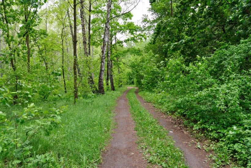 Капітанівка з panoramio.com - Капитановка
