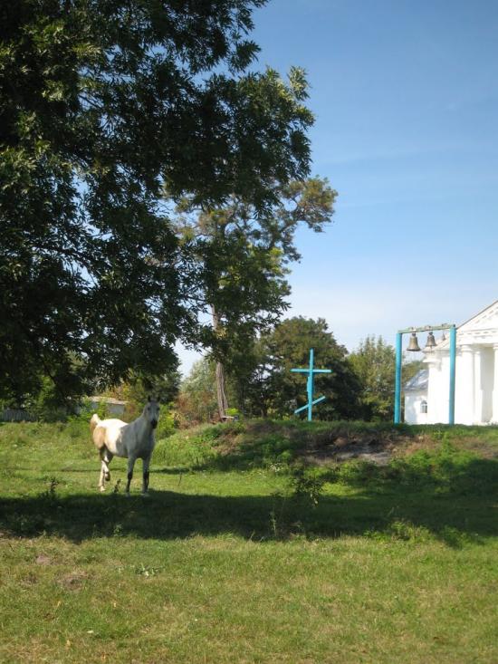 Новофастів з panoramio.com - Новофастів
