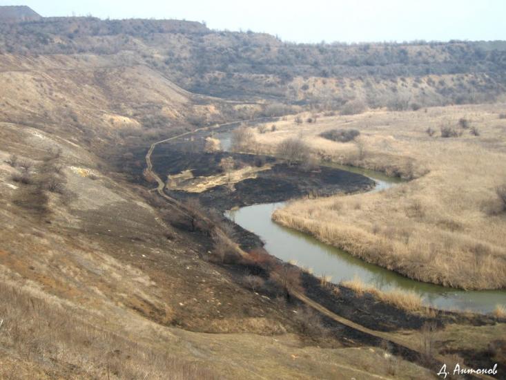 Степне з panoramio.com - Степное