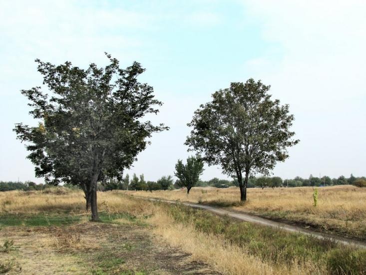 Ясинувата з panoramio.com - Ясиноватая