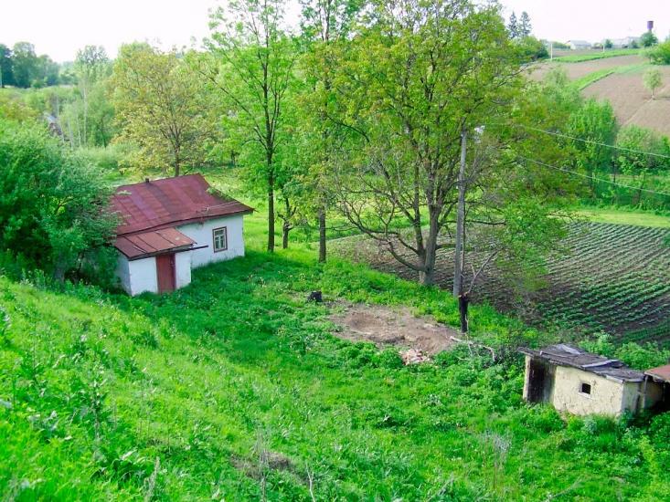 Дзензелівка з panoramio.com - Дзензелівка