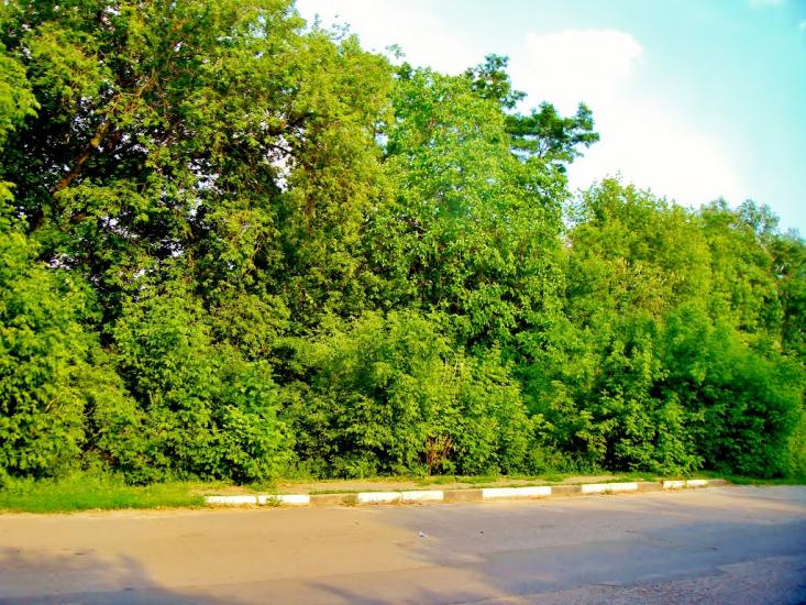 Медвин з panoramio.com - Медвин