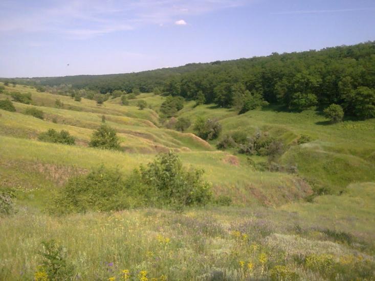 Горького з panoramio.com - Горького