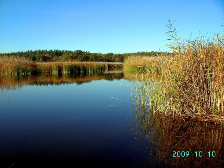 Котовка з panoramio.com - Котовка