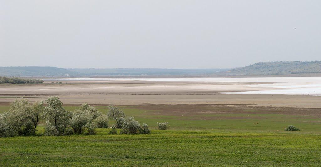Нова Ковалівка з panoramio.com - Новая Ковалевка