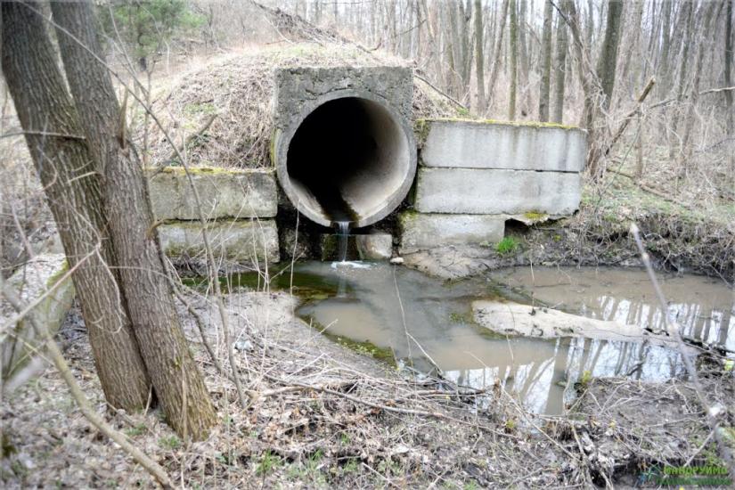 Пасківка з panoramio.com - Пасковка