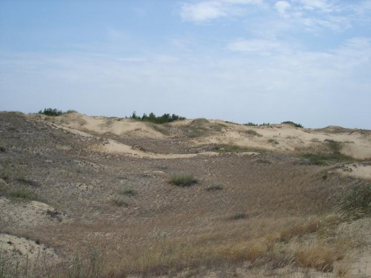Пролетарка з panoramio.com - Пролетарка