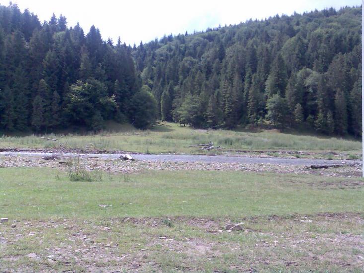 Кам'янка з panoramio.com - Каменка