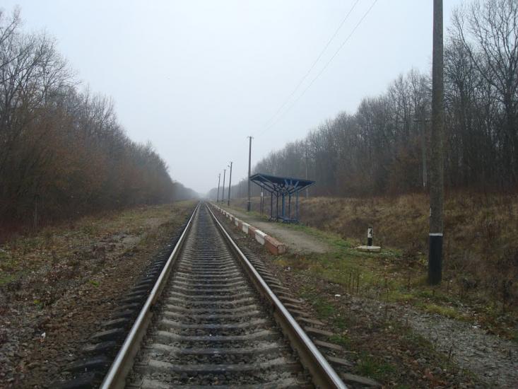Лошківці з panoramio.com - Лошковцы