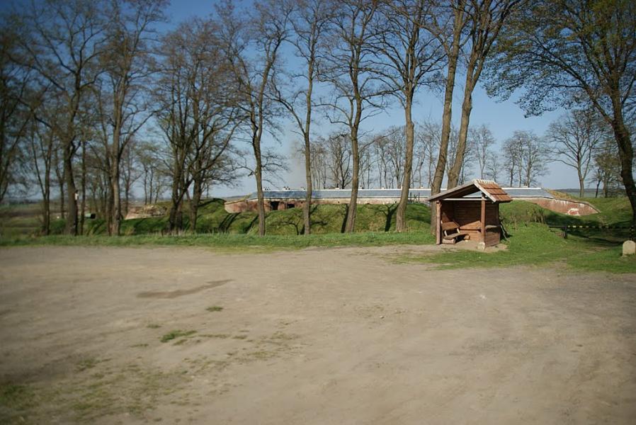 Биків з panoramio.com - Быков