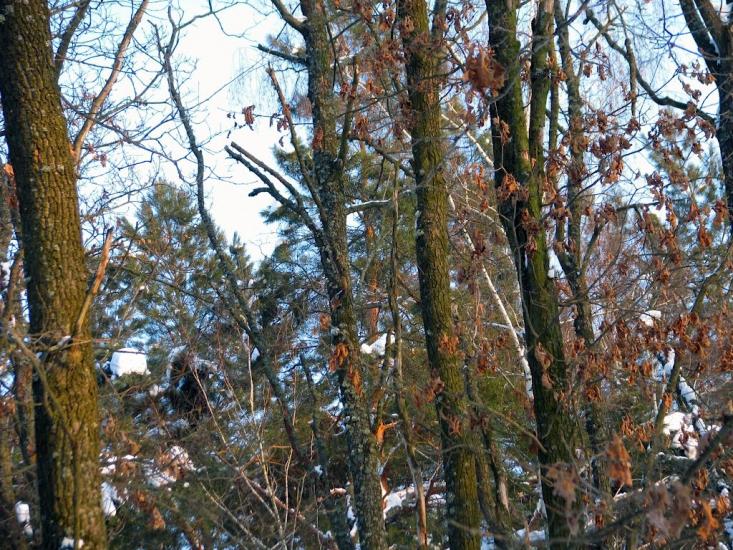 Волиця з panoramio.com - Волица