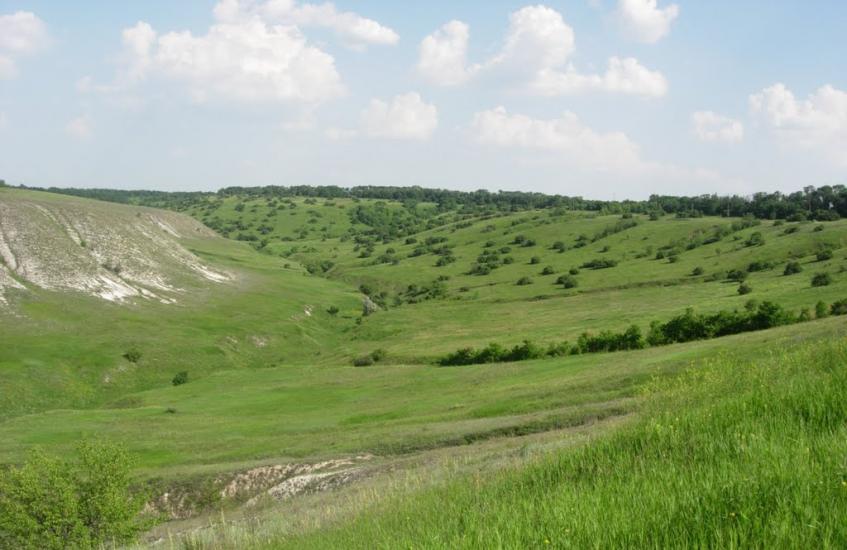Крива Лука з panoramio.com - Кривая Лука